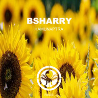 Bsharry - Hamunaptra (Holl & Rush Remix)