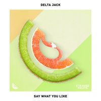 Delta Jack - Say What You Like