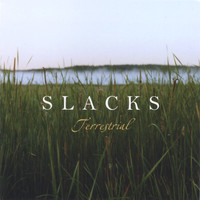 Slacks - Terrestrial