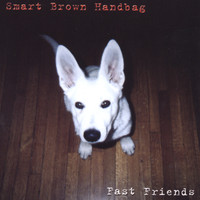 Smart Brown Handbag - Fast Friends