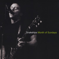 Snakehips - Month of Sundays