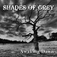 Shades of Grey - Awaking Dawn