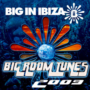 Various Artists - Big Room Tunes 2009