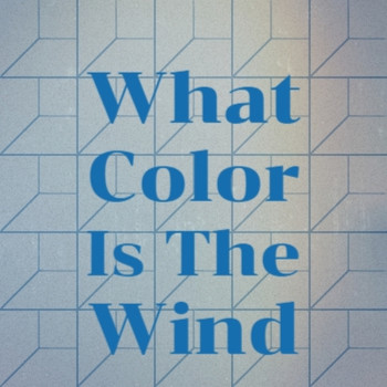 Various Artist - What Color Is The Wind