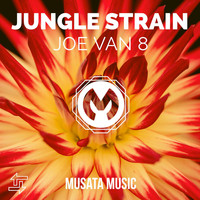 Joe Van 8 - Jungle strain