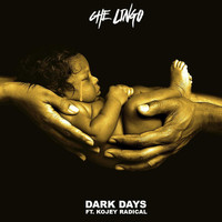 Che Lingo - Dark Days (Explicit)