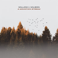 Willow J. Wilson - A Mountain Stream