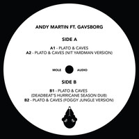 Andy Martin - Plato & Caves