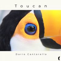 Dario Cantarella - Toucan