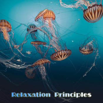 The Relaxation Principle, Relaxation, Relaxar Meditação Clube - Relaxation Principles