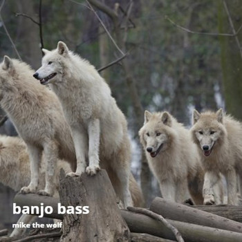 Mike The Wolf - Banjo Bass