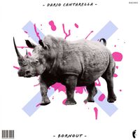 Dario Cantarella - Bornout