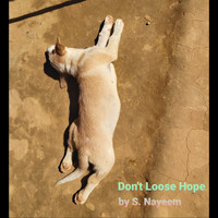 S. Nayeem - Don't Loose Hope