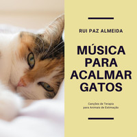 Rui Paz Almeida - Música para Acalmar Gatos: Canções de Terapia para Animais de Estimação