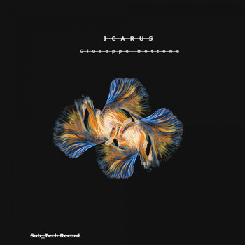 Giuseppe Bottone - Icarus