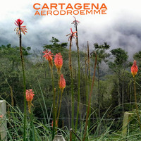 Aerodroemme - Cartagena