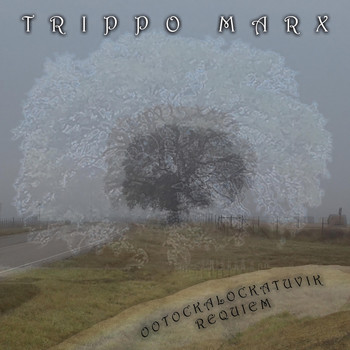 Trippo Marx - Ootockalockatuvik Requiem (Explicit)