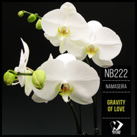 Namaseira - Gravity of Love