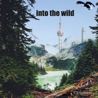 Paul Priest - Into the Wild