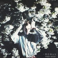 Momus - Tender Pervert (Explicit)
