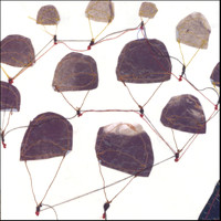 The Speakers - Daisycutters