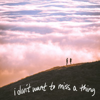 Karis - I Don't Want to Miss a Thing