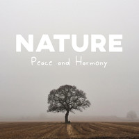 Nature Sound Collection - Nature Peace and Harmony – Relax Deeply and Achieve Inner Tranquility, Nature Sounds, Fauna and Flora, Woodland Escape