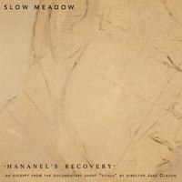 Slow Meadow - Hananel's Recovery