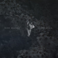 Slow Meadow - Lachrymosia