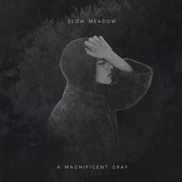 Slow Meadow - A Magnificent Gray