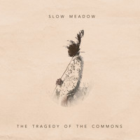 Slow Meadow - The Tragedy of the Commons