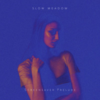 Slow Meadow - Screensaver Prelude