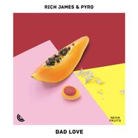 Rich James - Bad Love