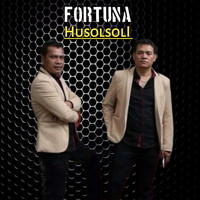 Fortuna - Husolsoli