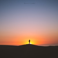 H.1 - Fortitude