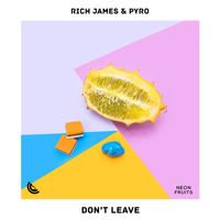 Rich James - Don't Leave