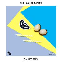 Rich James - On My Own