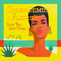 Chaka Demus & Pliers - Love You Like Crazy