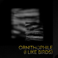 Jam - Ornithophile (I Like Birds)