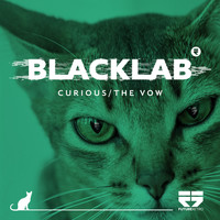 Blacklab - Curious / The Vow