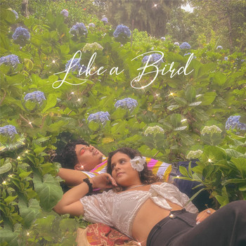 Ricardo Bendek & Nadine Masri - Like a Bird