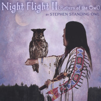 Stephen Standing Owl - Night Flight ll (Return of the Owl)