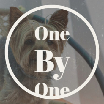 Various Artist - One By One