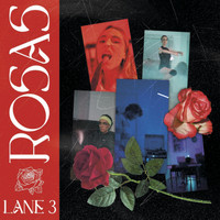 Lane - Rosas