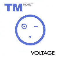TM Project - Voltage