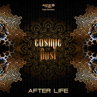 Cosmic Dust - After Life