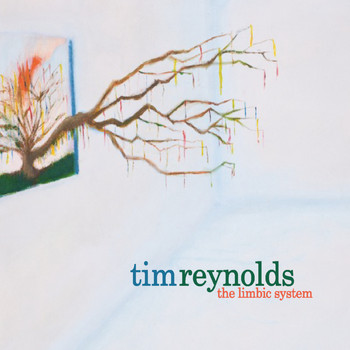 Tim Reynolds - The Limbic System (Explicit)