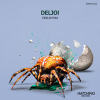 Deljoi - Feelin You