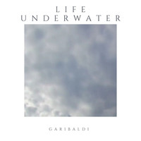 Garibaldi - Life Underwater