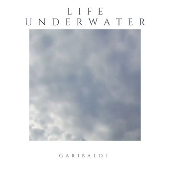 Garibaldi - Life Underwater